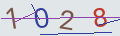verifycode